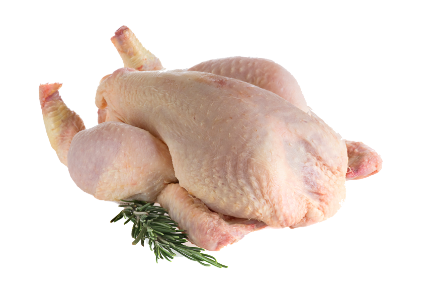 nutrisorb